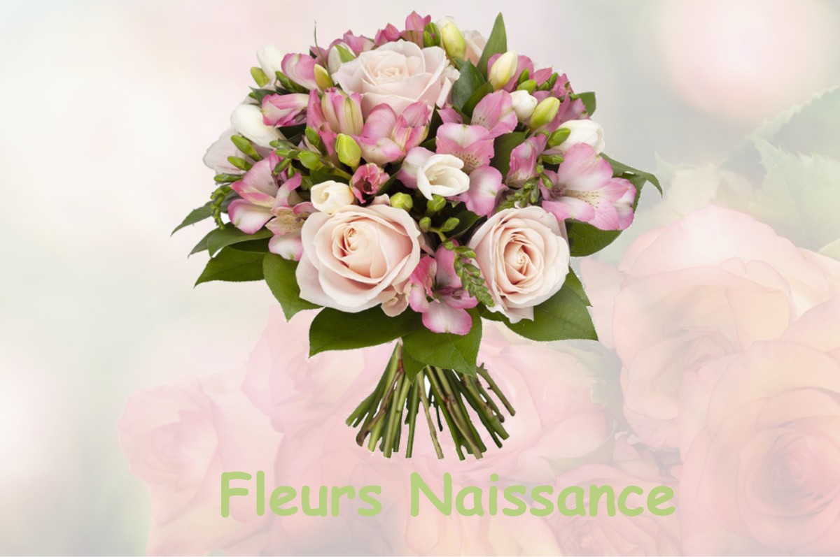 fleurs naissance SAINT-LAURENT-DE-GOSSE