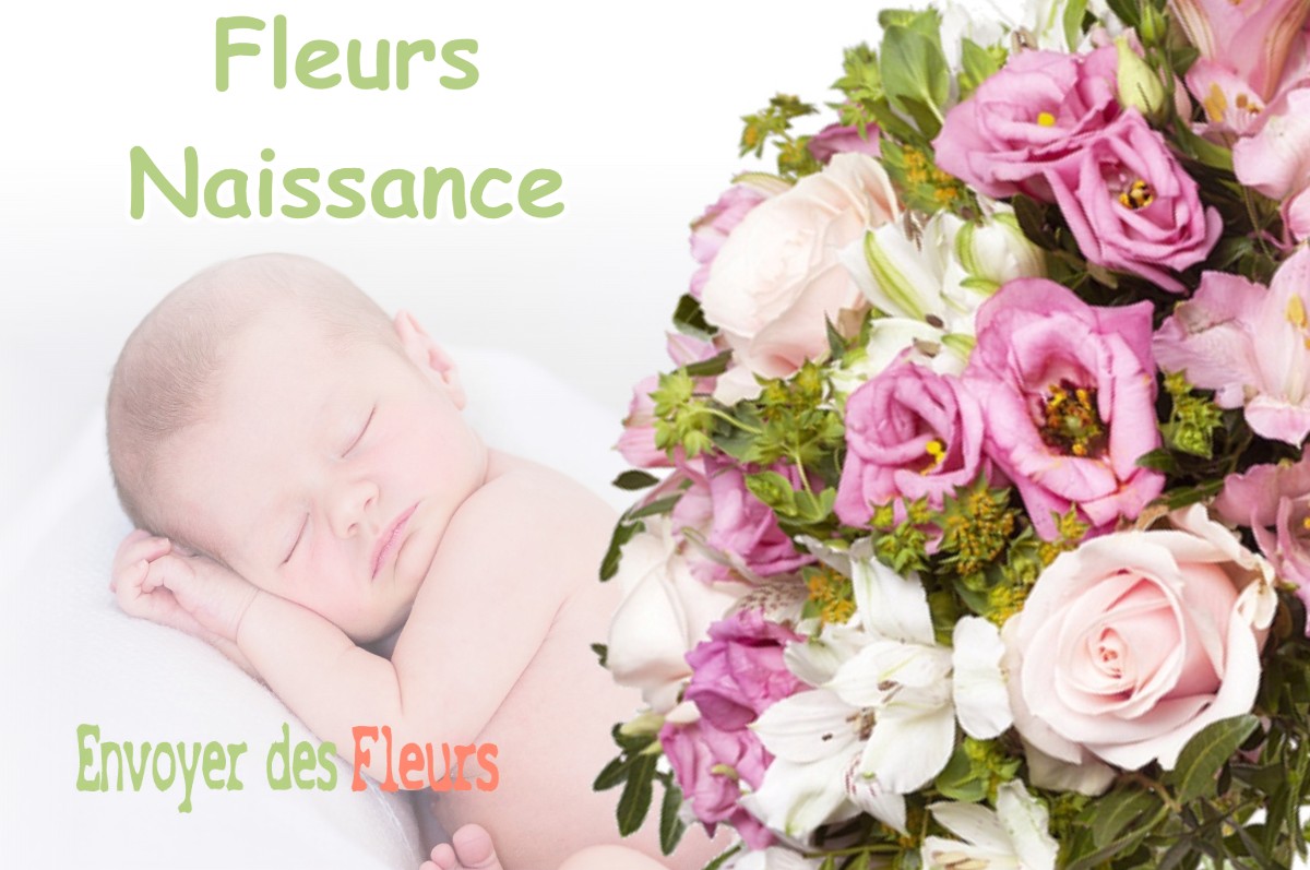 lIVRAISON FLEURS NAISSANCE à SAINT-LAURENT-DE-GOSSE